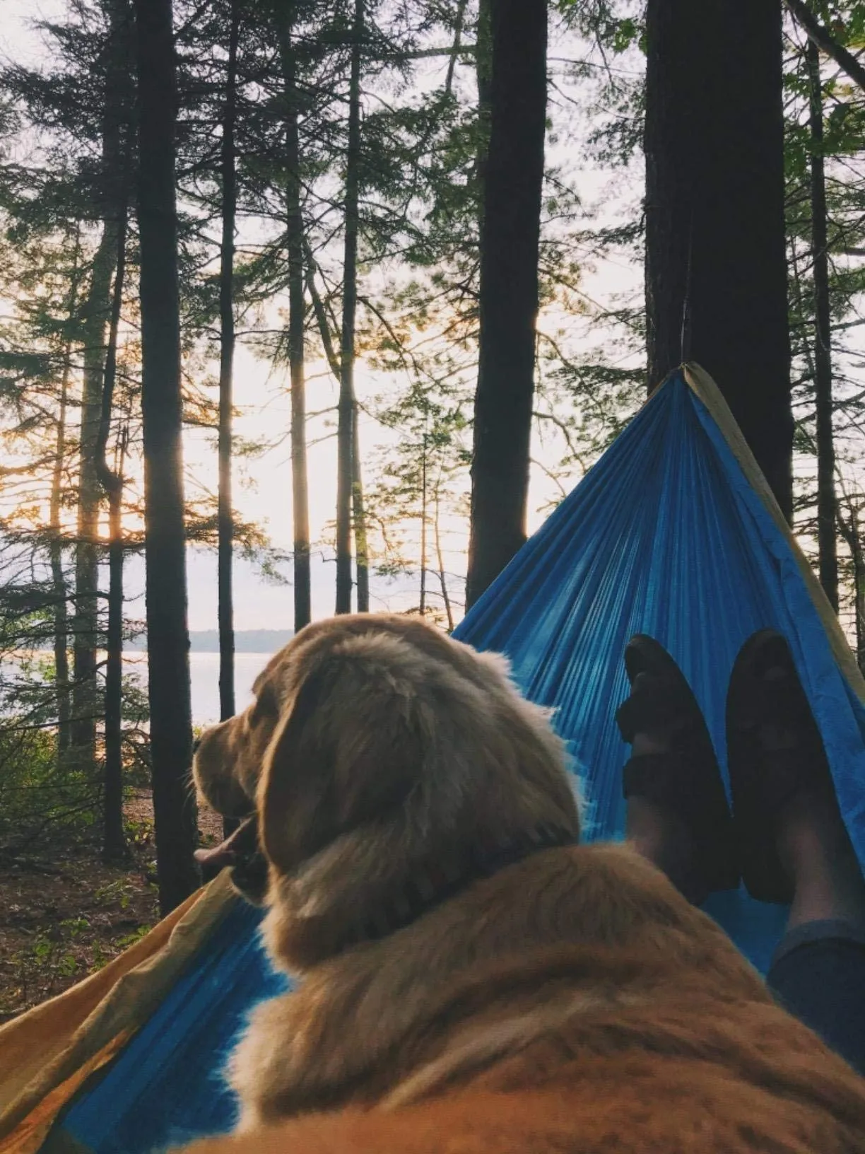 Hammock Camping - MalloMe